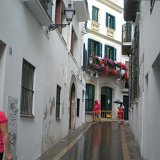 DSCN1590 (Medium)